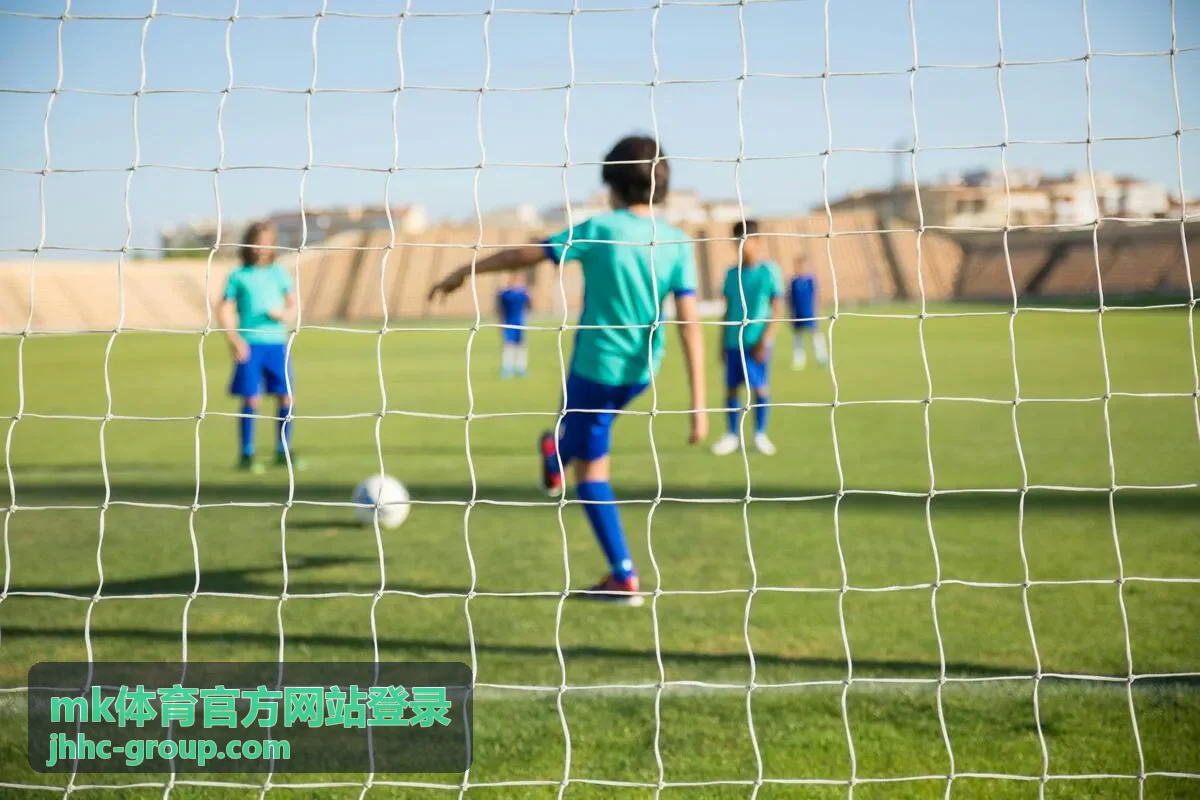 mk体育官方网站登录 最新资讯封面